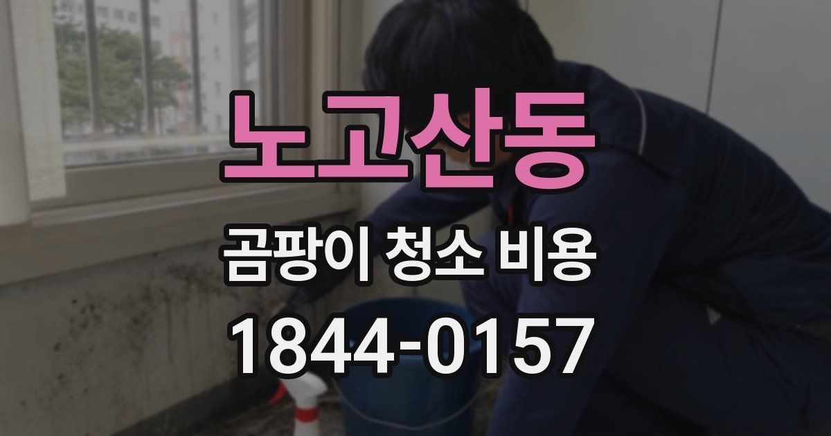 노고산동 곰팡이 청소 비용