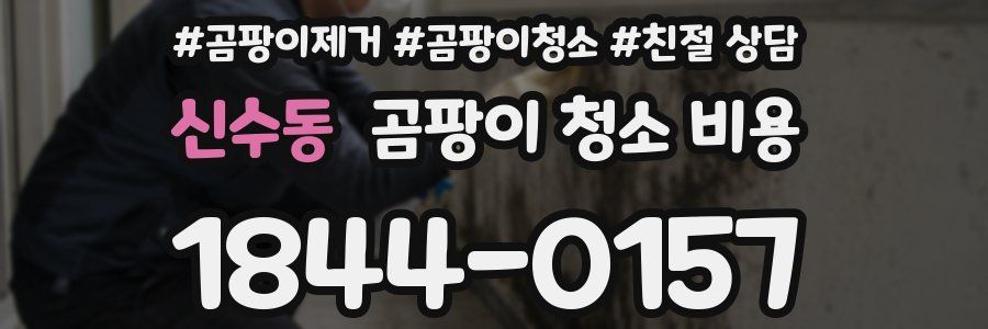 신수동 곰팡이 청소 비용