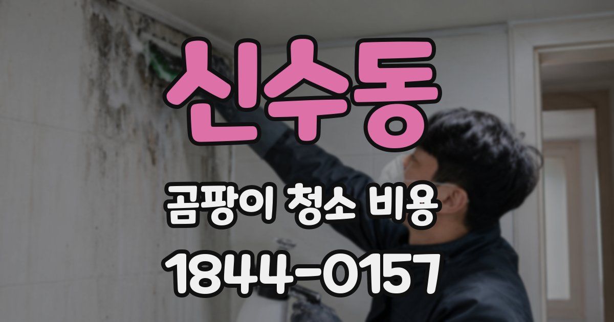 신수동 곰팡이 청소 비용