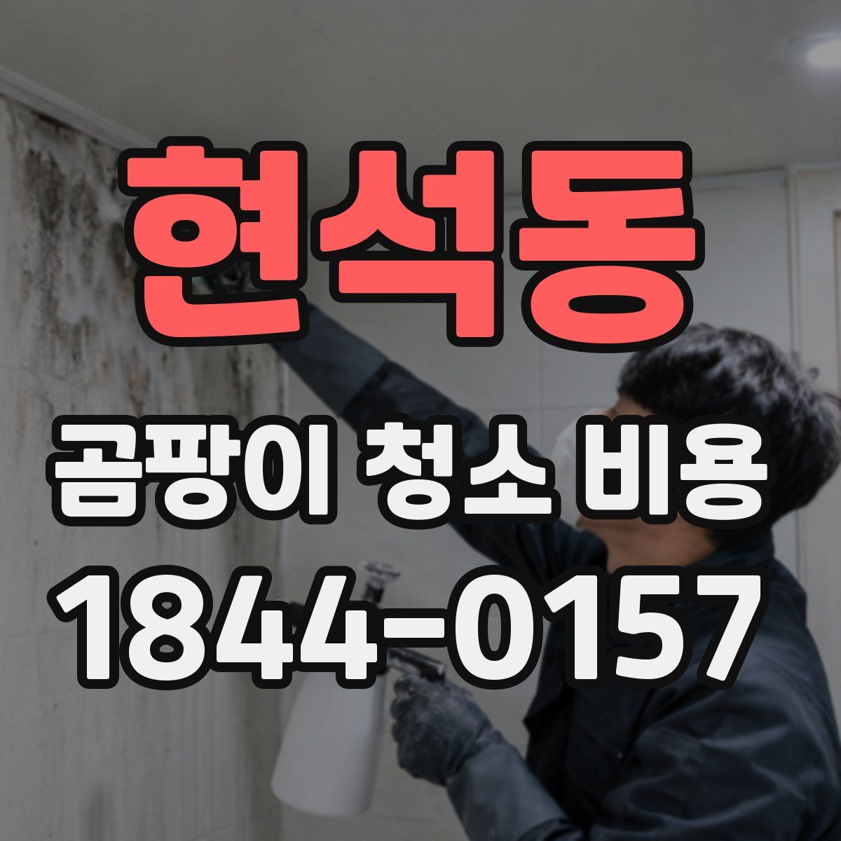 현석동 곰팡이 청소 비용