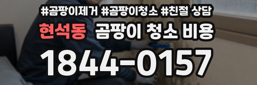 현석동 곰팡이 청소 비용