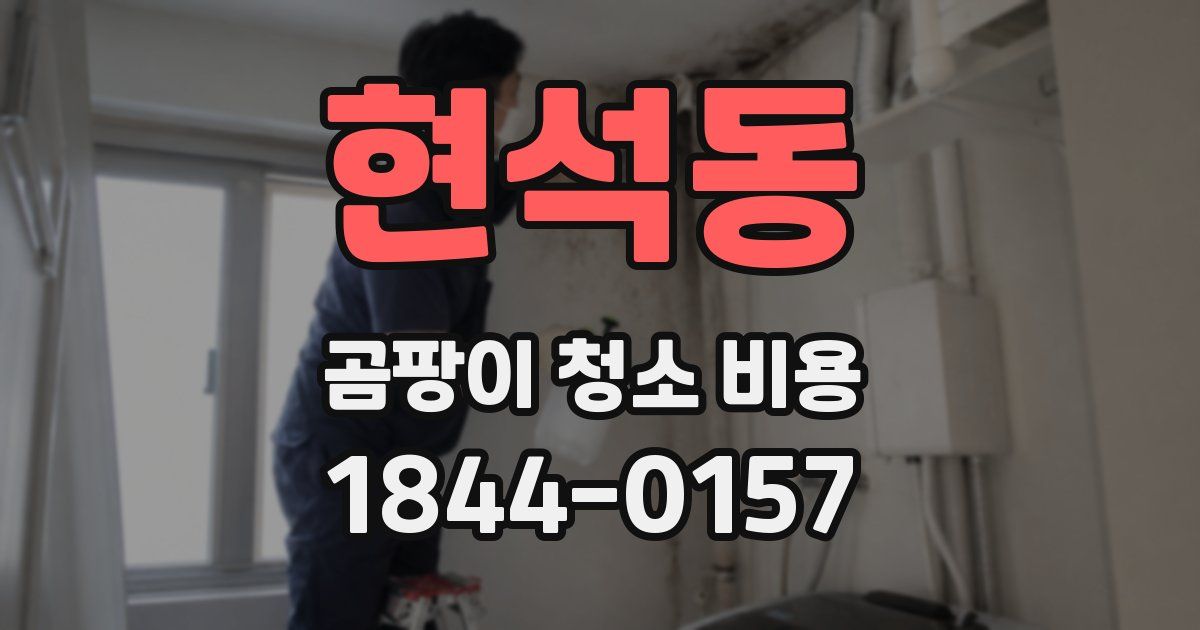 현석동 곰팡이 청소 비용