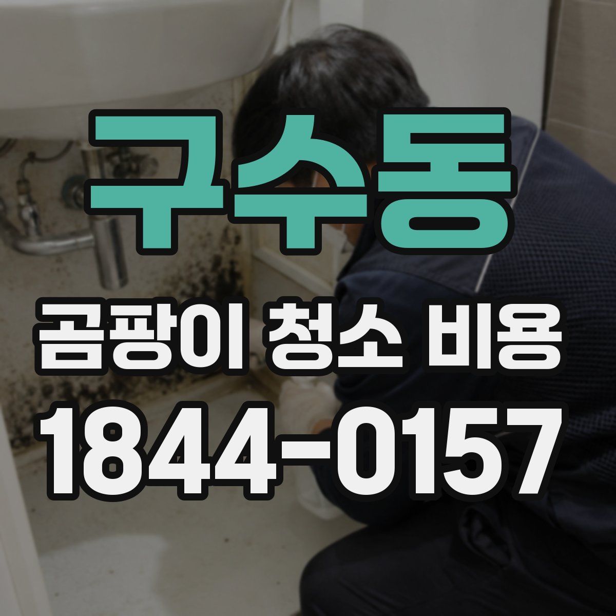 구수동 곰팡이 청소 비용