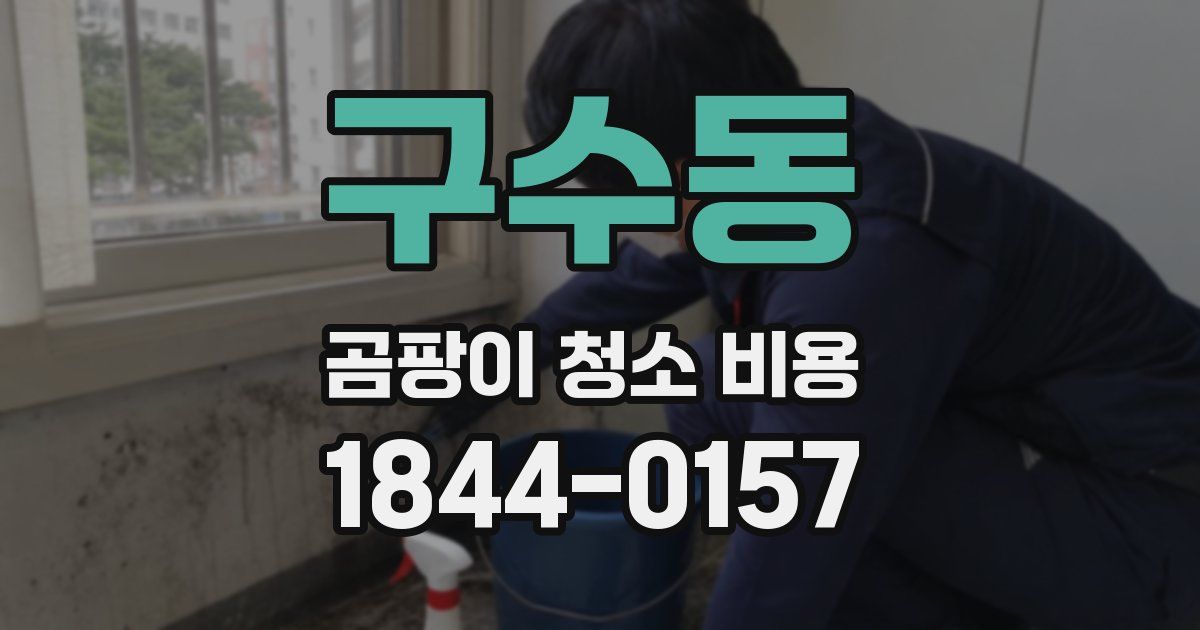 구수동 곰팡이 청소 비용