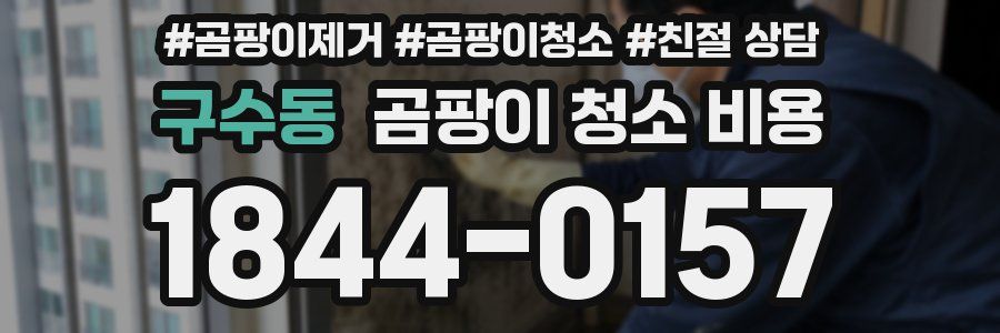 구수동 곰팡이 청소 비용