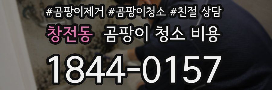 창전동 곰팡이 청소 비용