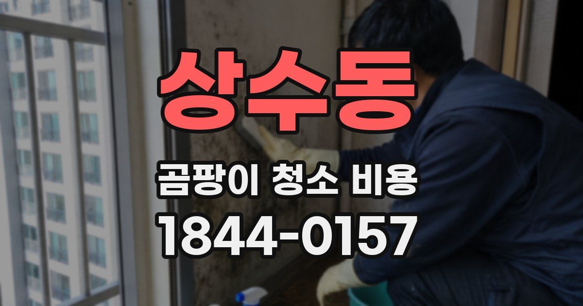 상수동 곰팡이 청소 비용