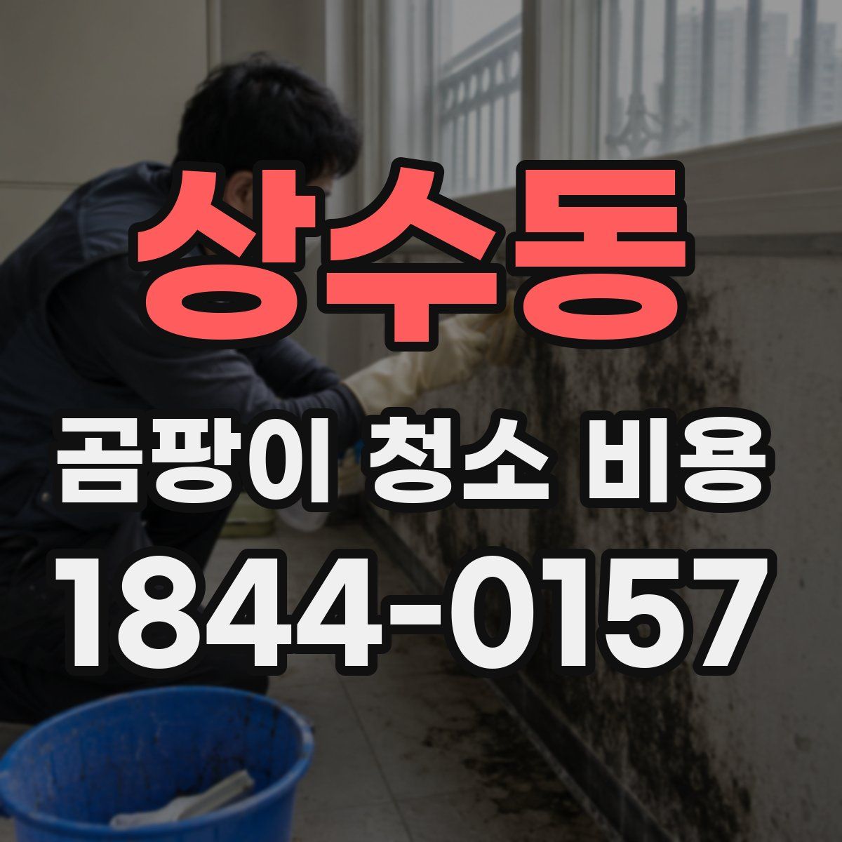 상수동 곰팡이 청소 비용