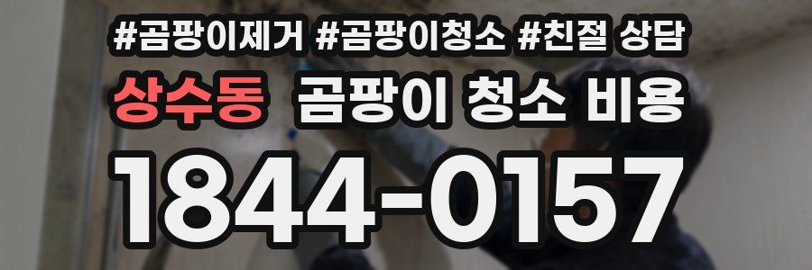 상수동 곰팡이 청소 비용