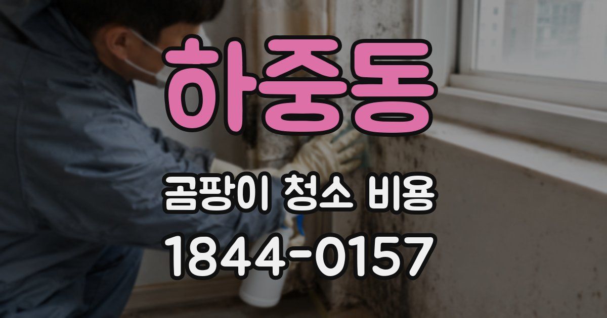 하중동 곰팡이 청소 비용