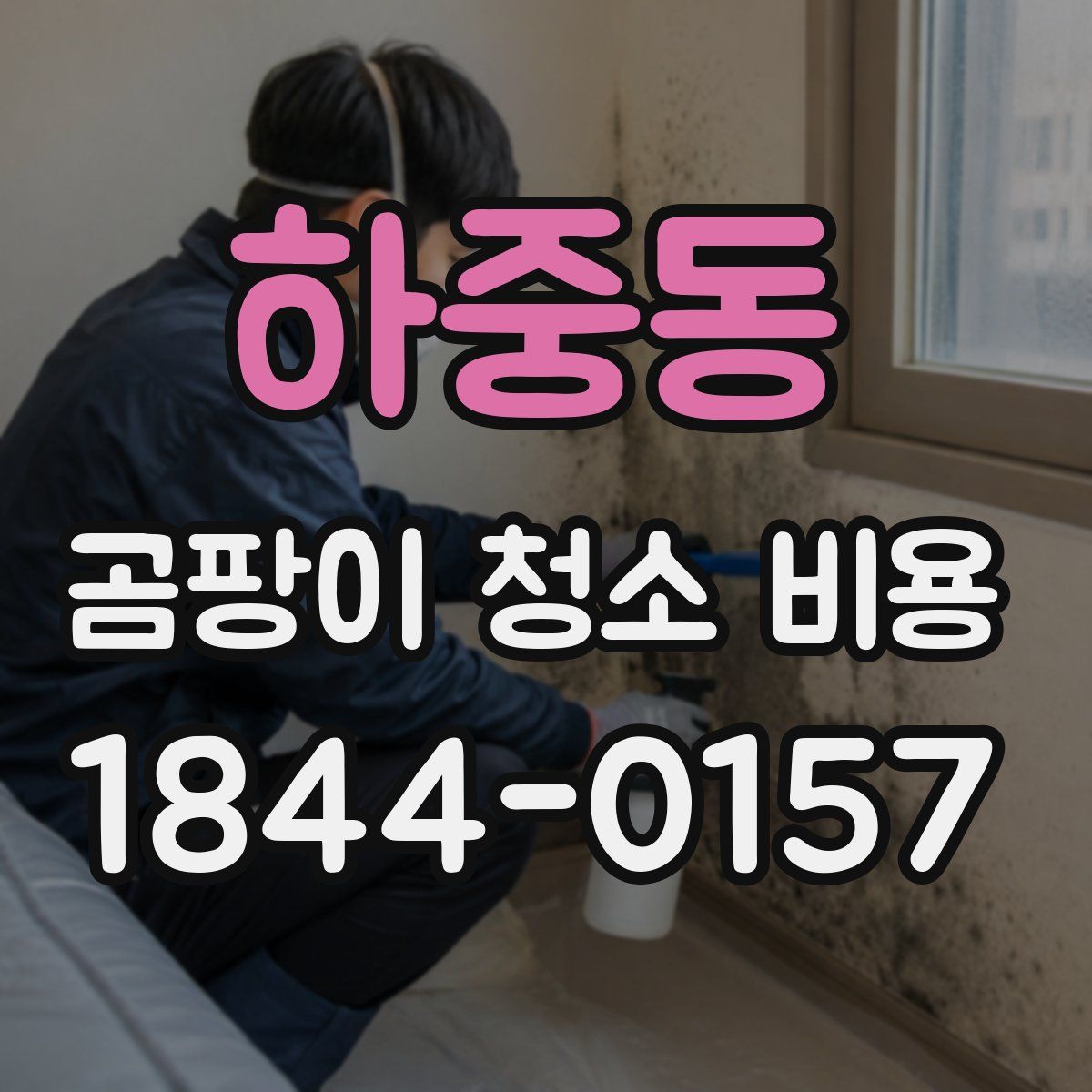 하중동 곰팡이 청소 비용