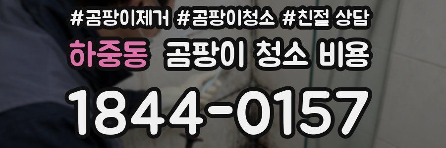 하중동 곰팡이 청소 비용