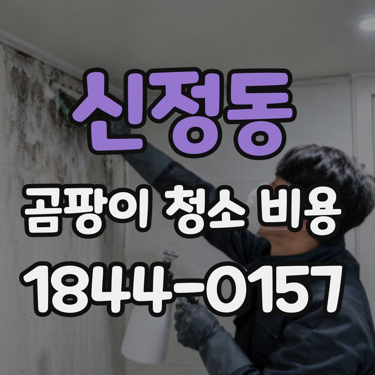 신정동 곰팡이 청소 비용