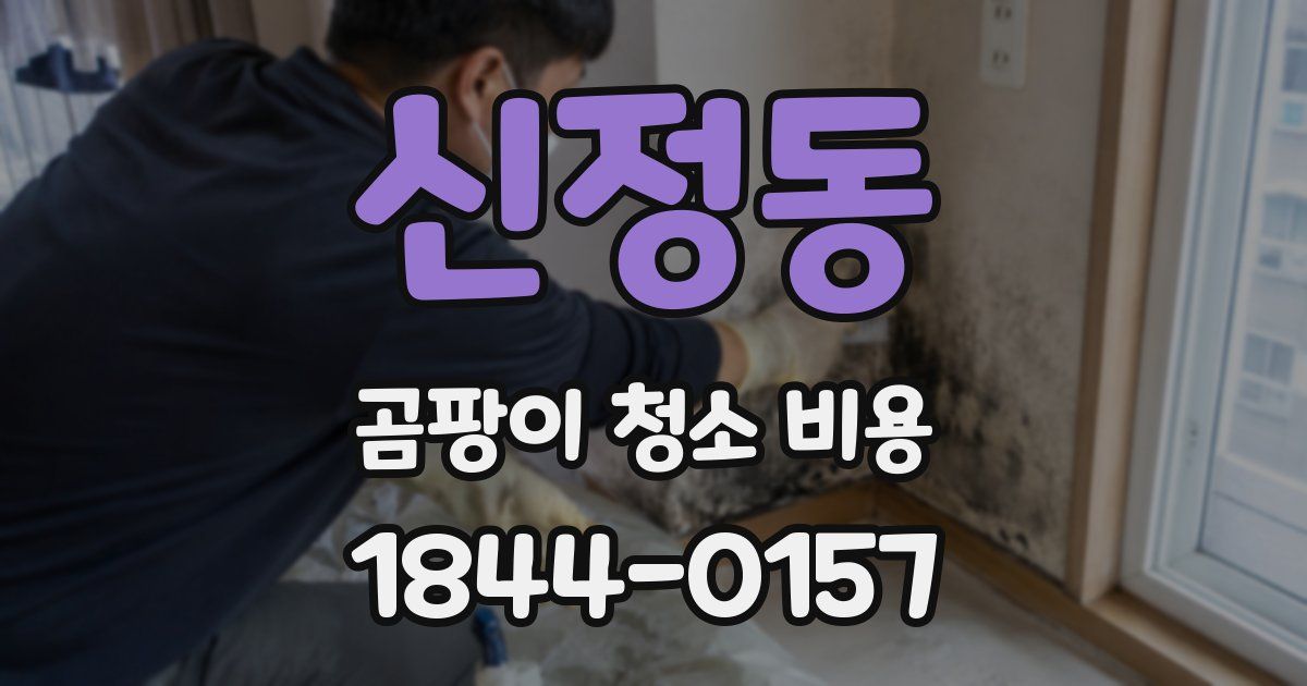 신정동 곰팡이 청소 비용