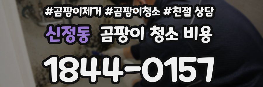신정동 곰팡이 청소 비용