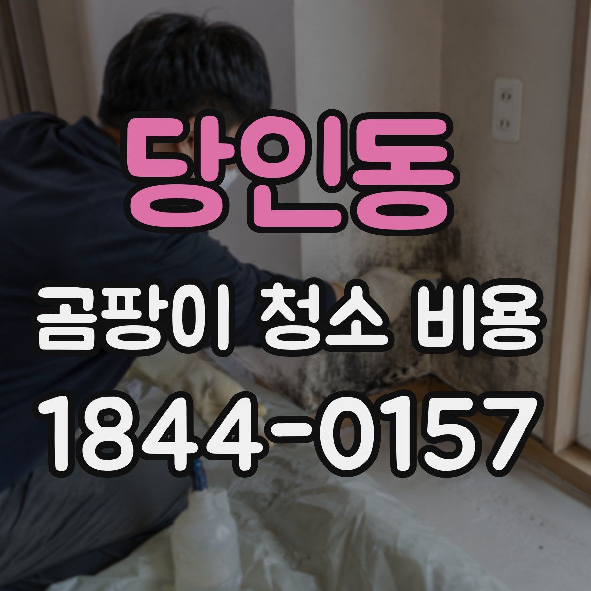 당인동 곰팡이 청소 비용