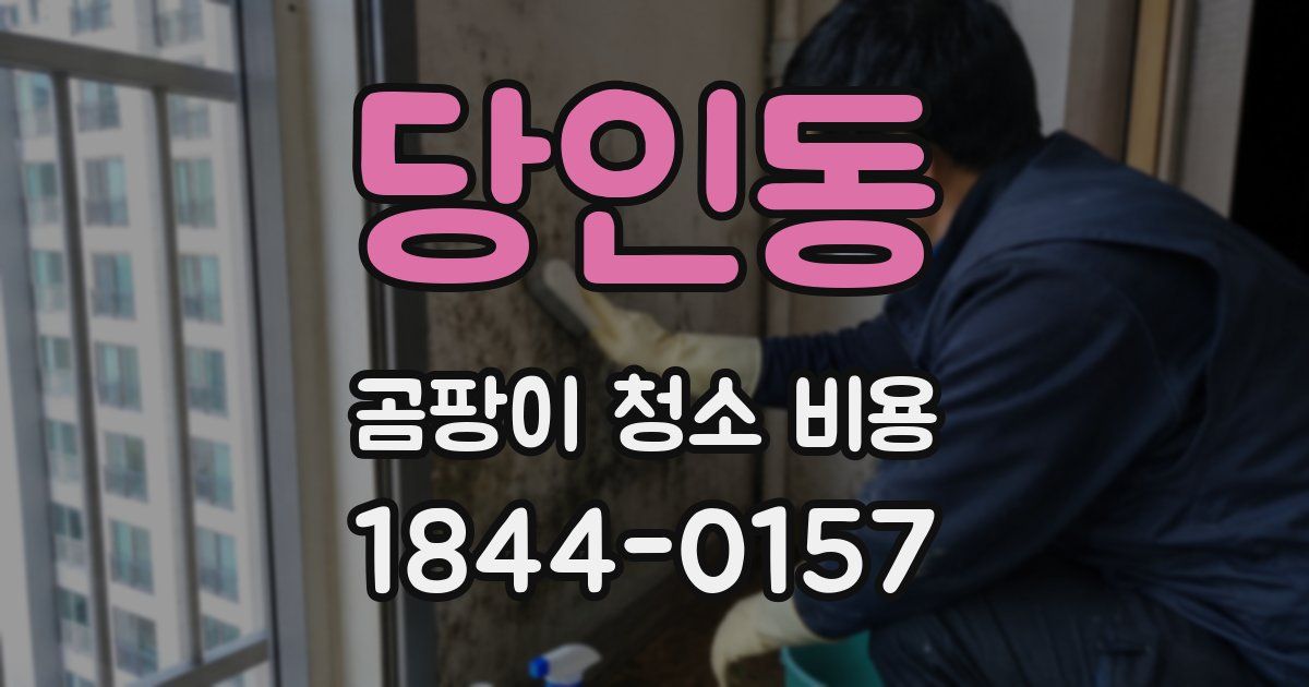 당인동 곰팡이 청소 비용