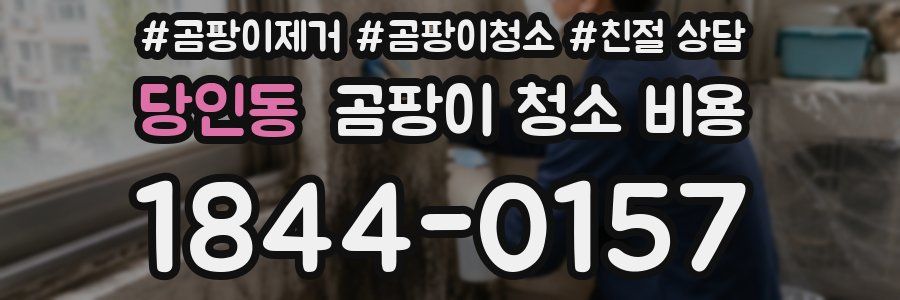 당인동 곰팡이 청소 비용