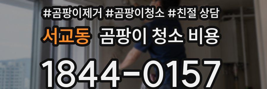 서교동 곰팡이 청소 비용