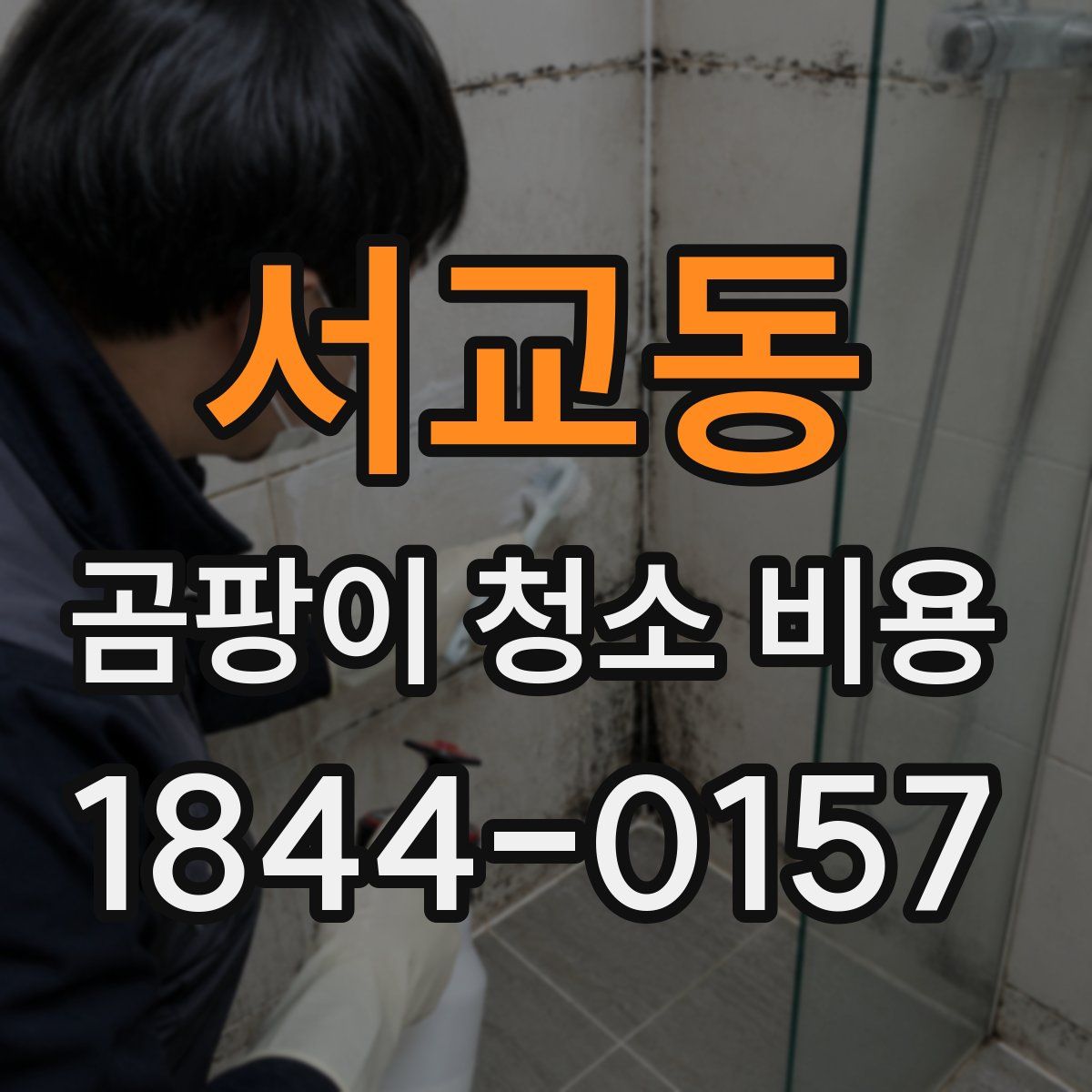 서교동 곰팡이 청소 비용