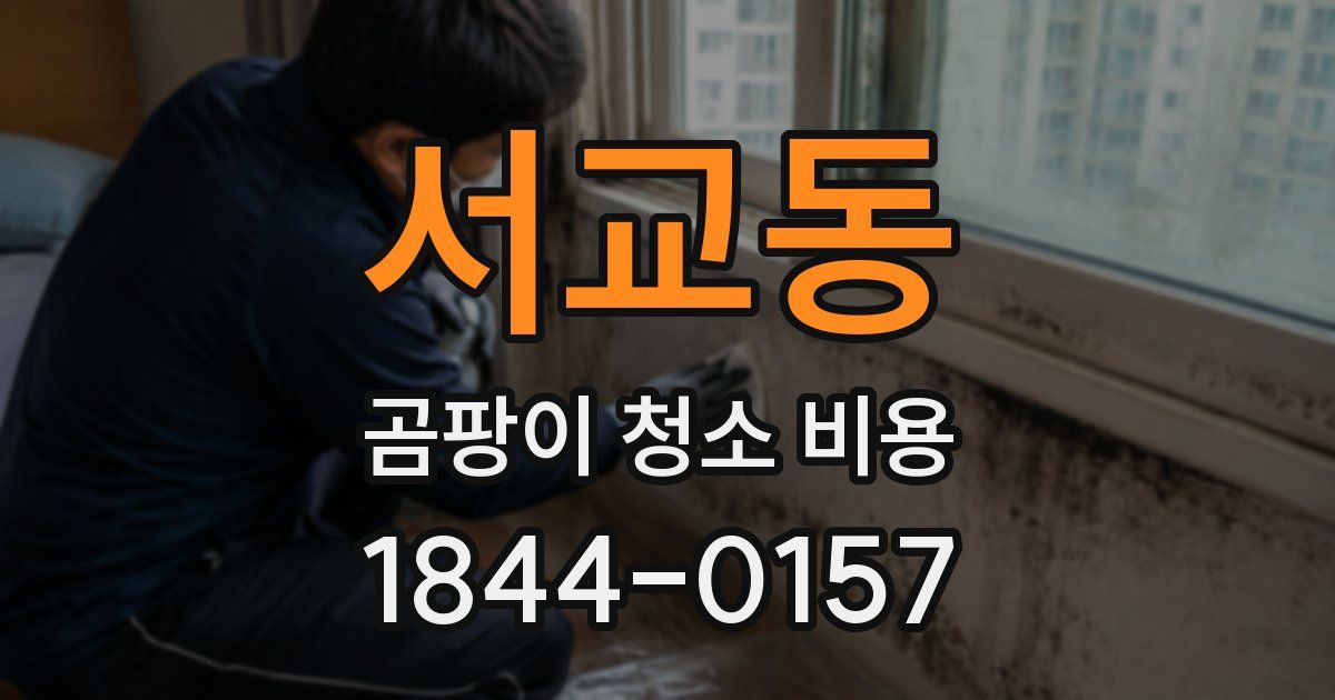 서교동 곰팡이 청소 비용