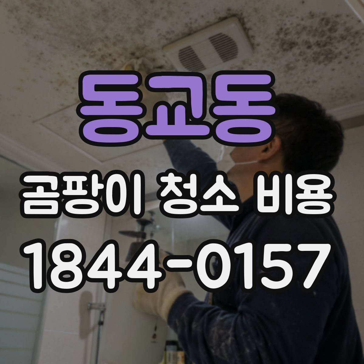 동교동 곰팡이 청소 비용