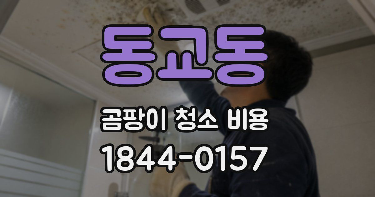 동교동 곰팡이 청소 비용