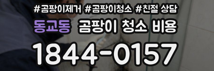 동교동 곰팡이 청소 비용