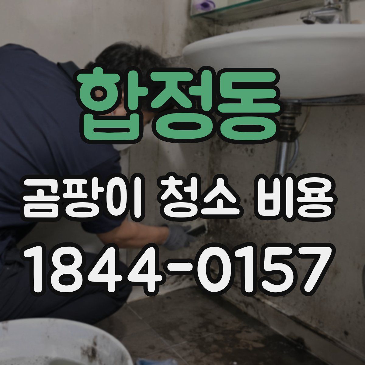 합정동 곰팡이 청소 비용