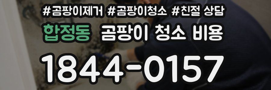합정동 곰팡이 청소 비용