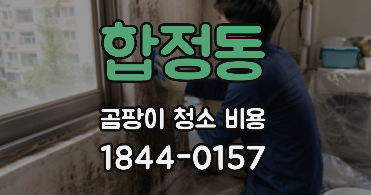 합정동 곰팡이 청소 비용