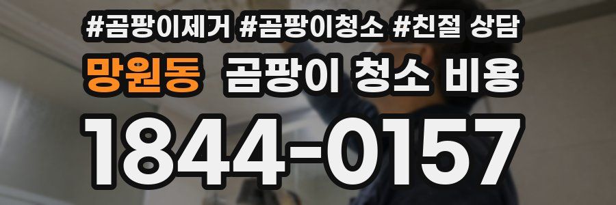 망원동 곰팡이 청소 비용
