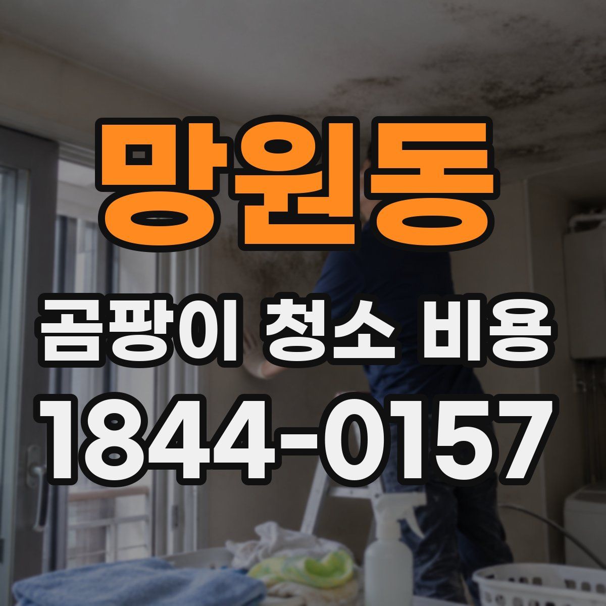 망원동 곰팡이 청소 비용