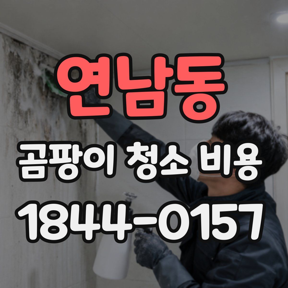 연남동 곰팡이 청소 비용
