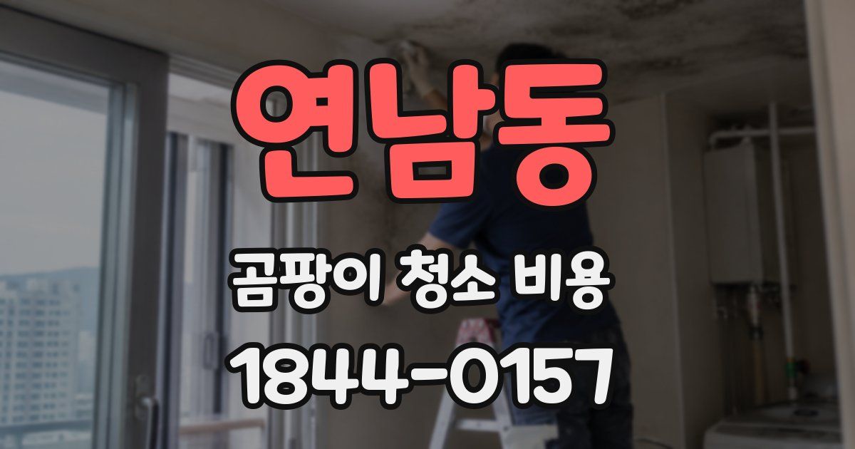 연남동 곰팡이 청소 비용