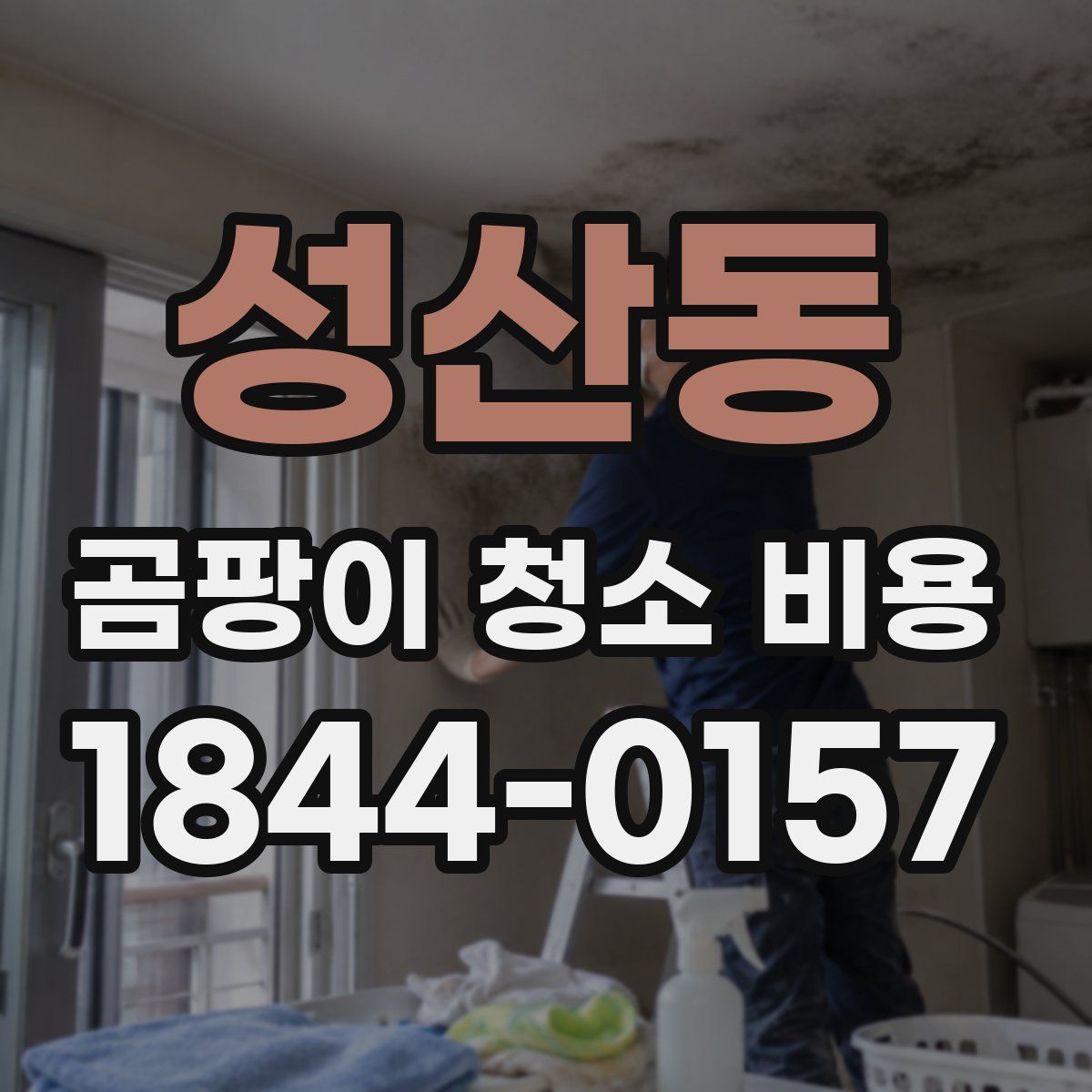 성산동 곰팡이 청소 비용