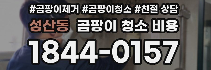 성산동 곰팡이 청소 비용