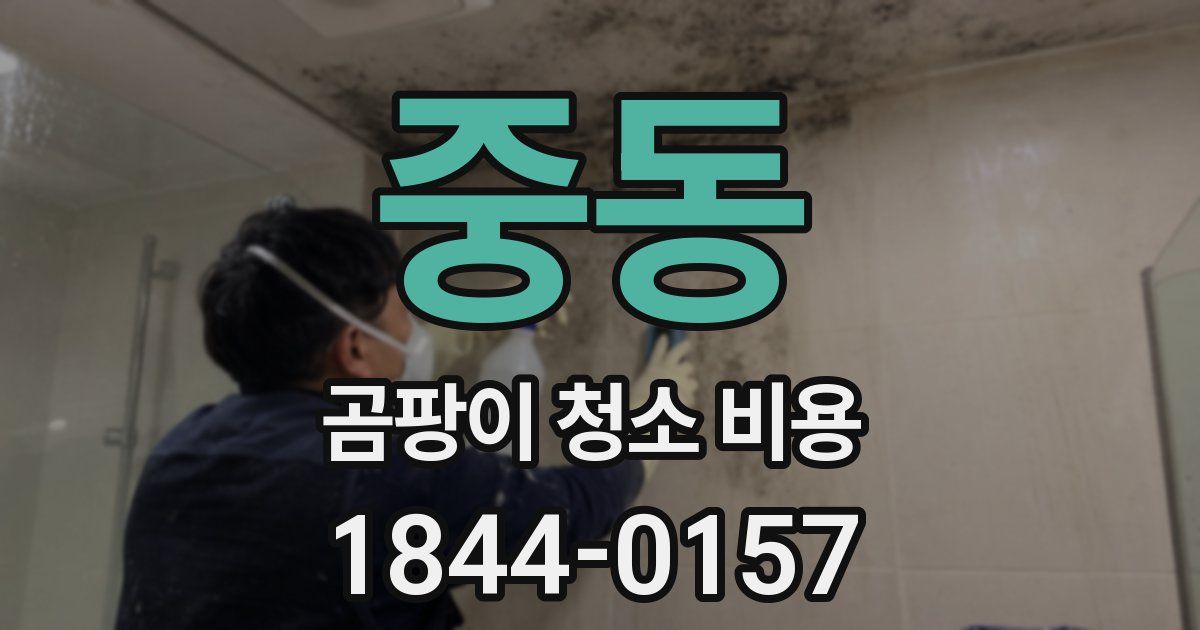 중동 곰팡이 청소 비용