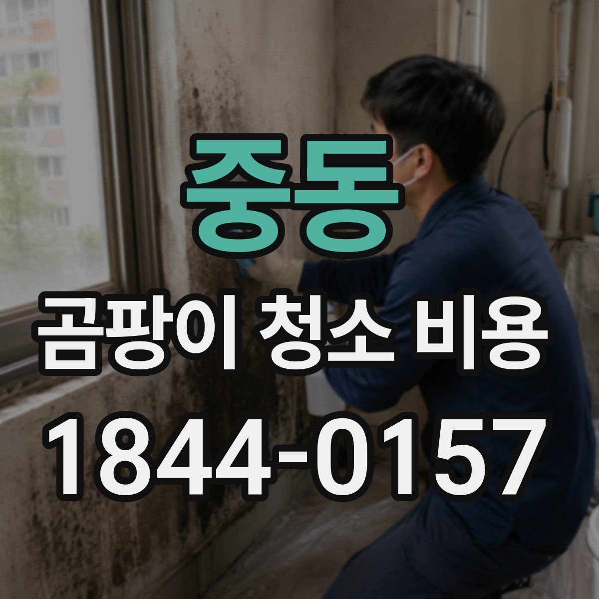 중동 곰팡이 청소 비용
