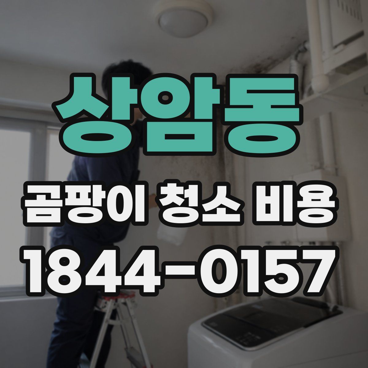 상암동 곰팡이 청소 비용