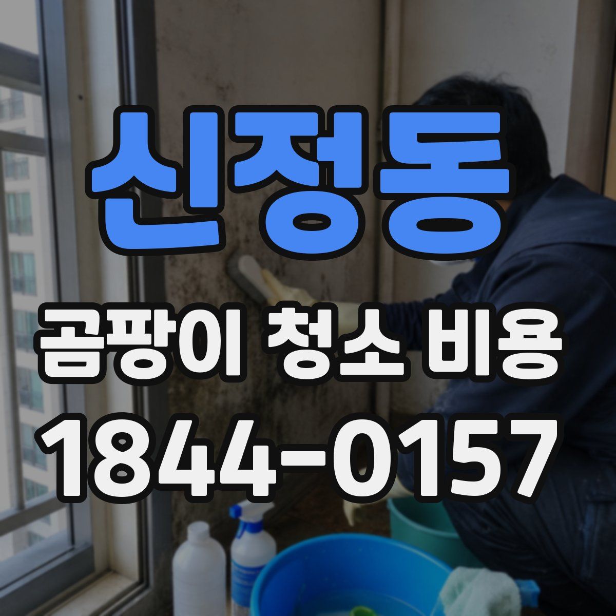 신정동 곰팡이 청소 비용