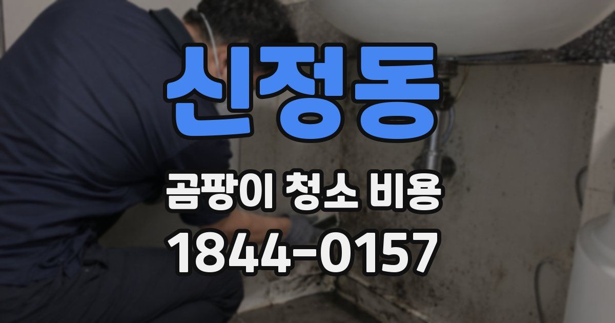 신정동 곰팡이 청소 비용