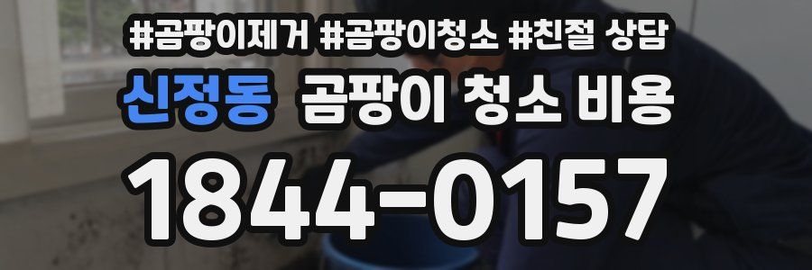 신정동 곰팡이 청소 비용