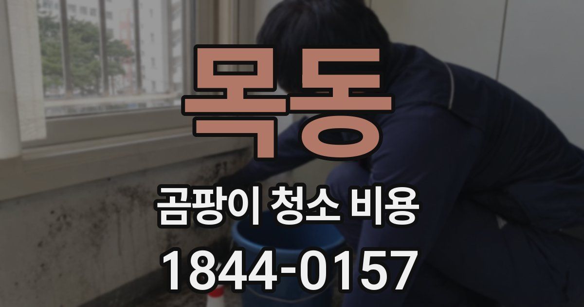 목동 곰팡이 청소 비용