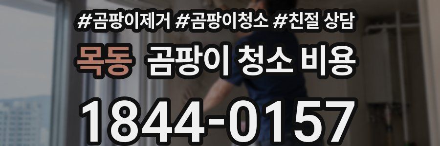 목동 곰팡이 청소 비용