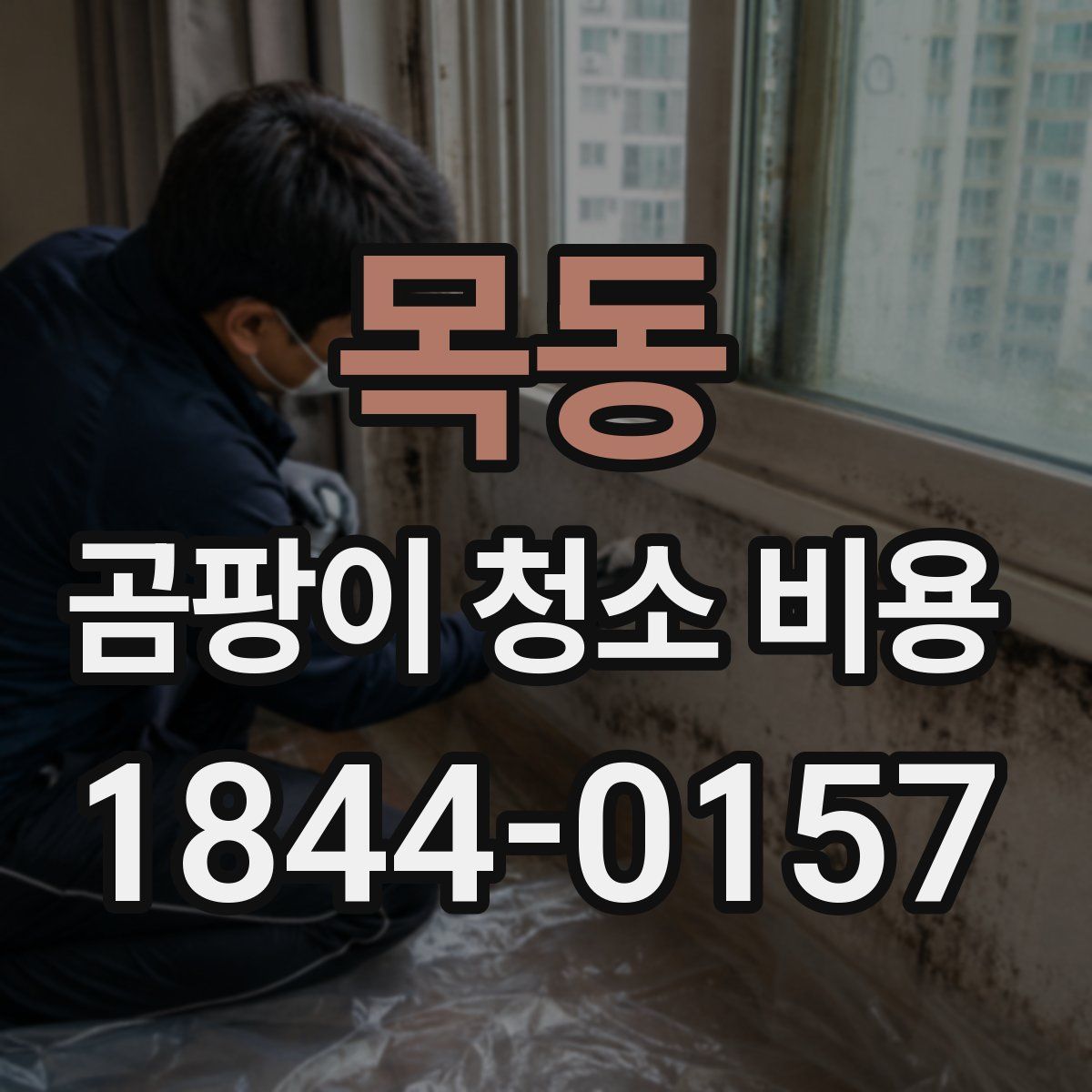 목동 곰팡이 청소 비용