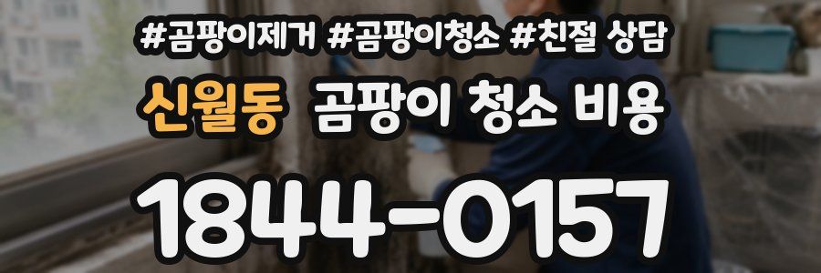 신월동 곰팡이 청소 비용