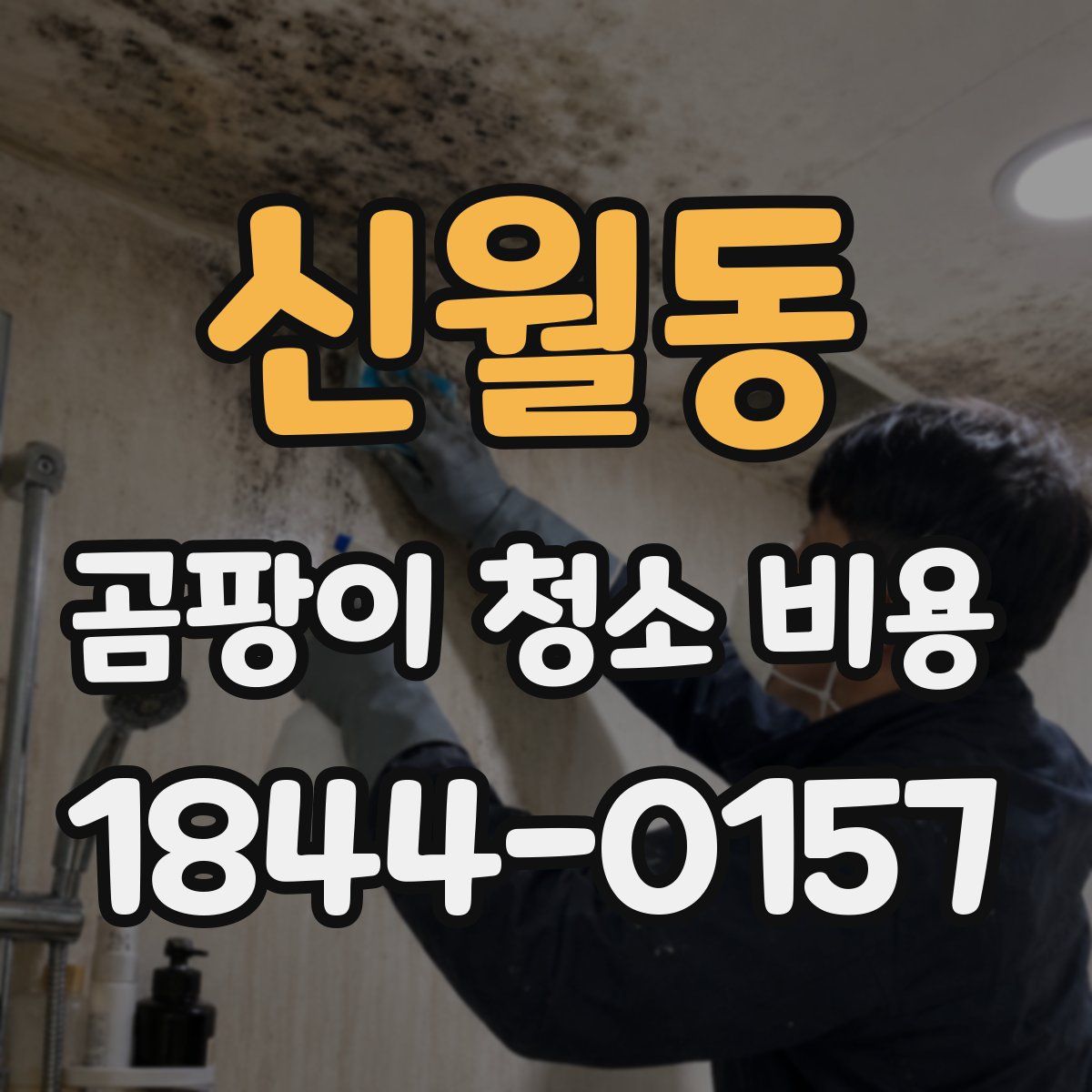 신월동 곰팡이 청소 비용