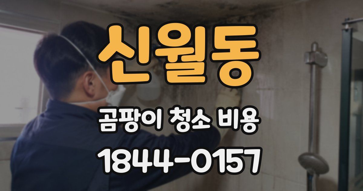 신월동 곰팡이 청소 비용