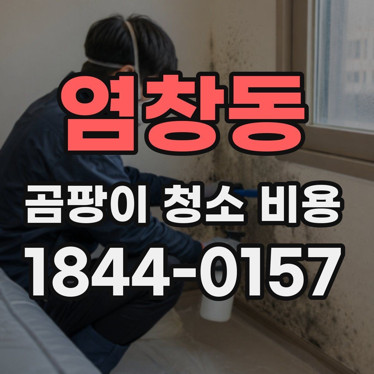 염창동 곰팡이 청소 비용 상담 시 자주 나오는 오해